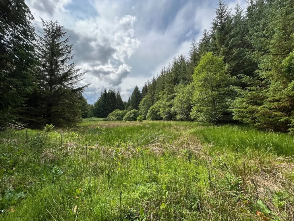 Plot at Glendale, Tyrebagger Road, Kirkton of Skene, Aberdeen, AB21 9TJ